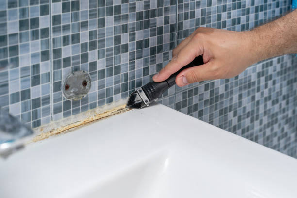 Best Mold Remediation  in Biggs, CA