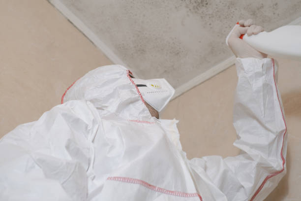 Best Crawl Space Mold Removal  in Biggs, CA