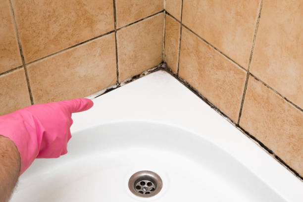 Best Mold Removal and Inspection  in Biggs, CA